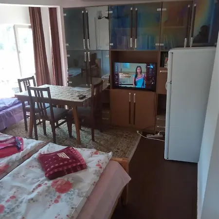 Mercury Guest house *