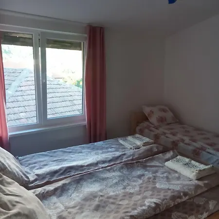 Mercury Guest house