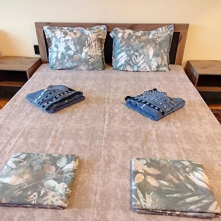 Mercury Guest house