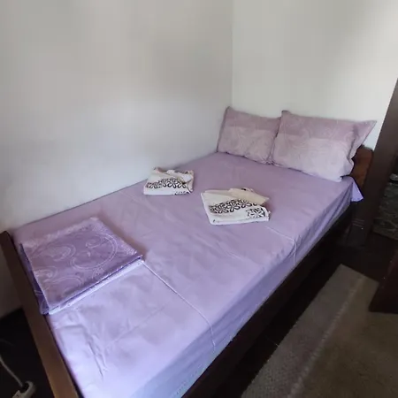Mercury Guest house *