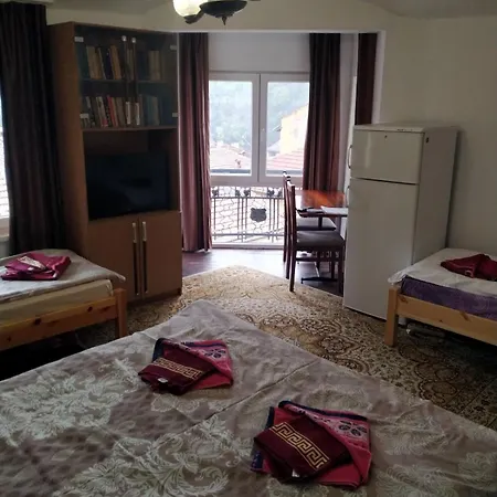 Pensionat Mercury Veliko Tărnovo