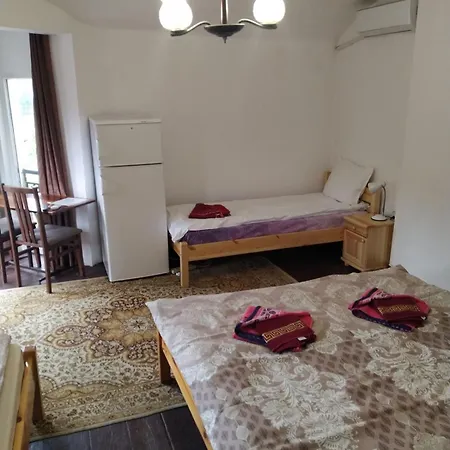 Pensionat Mercury Veliko Tărnovo