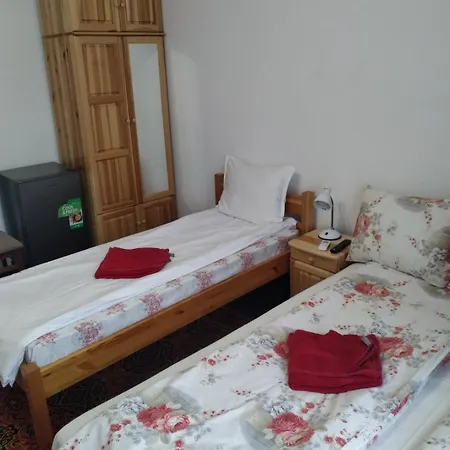Mercury Pensionat Veliko Tărnovo