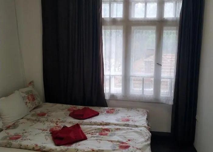 Mercury Guest house 3*